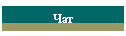 Чат